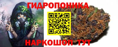 крисы Конаково