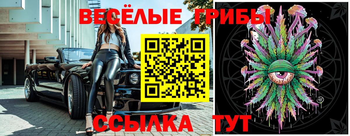 Галлюциногенные грибы Psilocybine cubensis  Вход с VPN  Кашира 