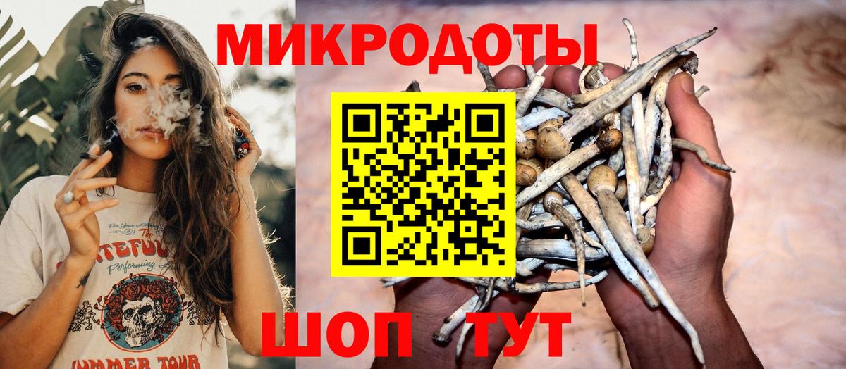 Каннабис  ГАШ  Каннабис  Альфа ПВП СК   Вход с VPN  Кашира  COCAIN  МЕФ кристаллы  MDMA 