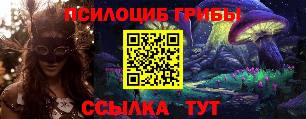Псилоцибиновые грибы Psilocybe Кашира
